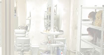 photo studio image